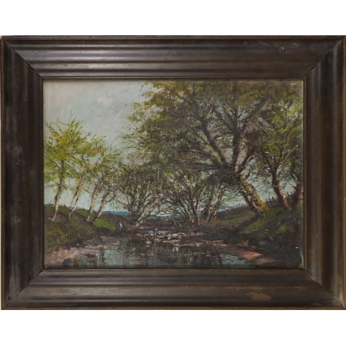 951 - Oil onto canvas, figure beside a tree lined stream, bearing and indistinct signature, framed, 56cm x... 