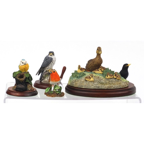 2185 - Large collection of mostly boarder fine arts animal models, some raised on plinth bases, the largest... 