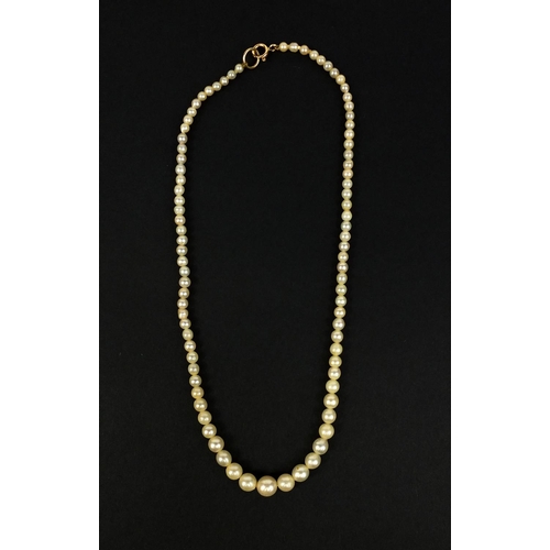 2627 - Single string pearl necklace with 9ct gold clasp, 40cm long, approximate weight 13.0g