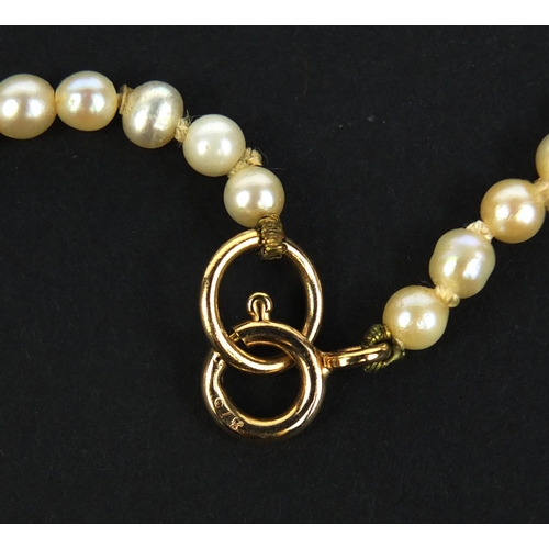 2627 - Single string pearl necklace with 9ct gold clasp, 40cm long, approximate weight 13.0g