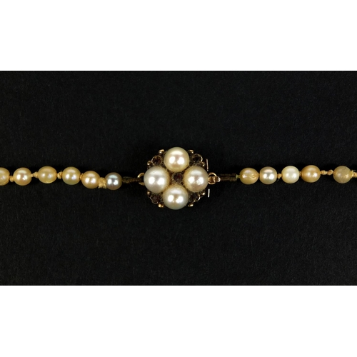 2634 - Single string pearl necklace with 9ct gold clasp set with pink stones, 52cm long, approximate weight... 