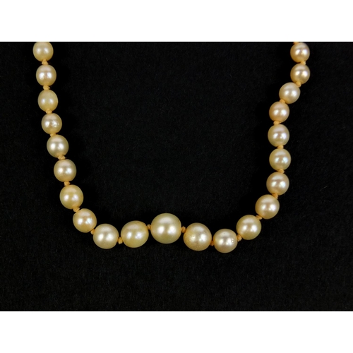 2634 - Single string pearl necklace with 9ct gold clasp set with pink stones, 52cm long, approximate weight... 