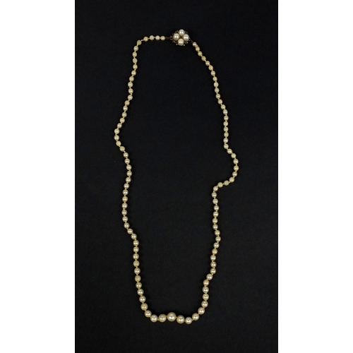 2634 - Single string pearl necklace with 9ct gold clasp set with pink stones, 52cm long, approximate weight... 