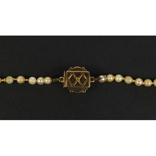 2634 - Single string pearl necklace with 9ct gold clasp set with pink stones, 52cm long, approximate weight... 