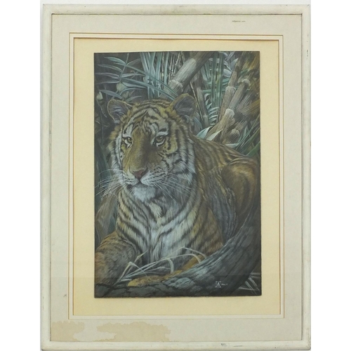 41 - Watercolour of a tiger with monogram MS May '73, mounted and framed, 56cm x 39cm excluding the mount... 
