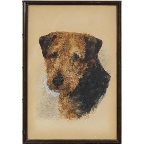 171 - K C Brown - ink and watercolour portrait of a terrier, framed, 40cm x 25cm excluding the frame