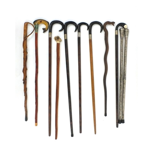 31 - Group of eleven walking sticks, some with horn handles and some with silver coloured metal mounts