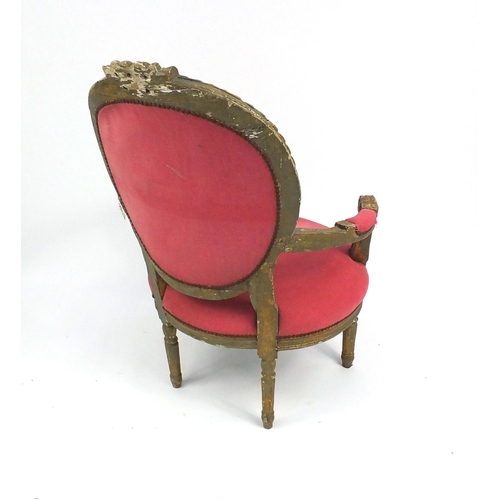 87 - French carved gilt wood elbow chair with salmon upholstery