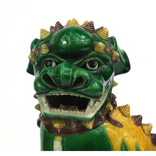 486 - Large pair of Chinese green and yellow glazed Foo Dogs, raised on square bases, each 41cm high