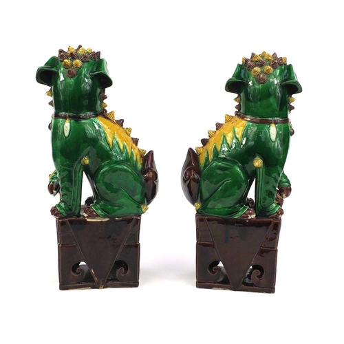 486 - Large pair of Chinese green and yellow glazed Foo Dogs, raised on square bases, each 41cm high