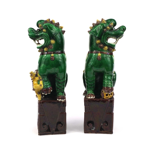 486 - Large pair of Chinese green and yellow glazed Foo Dogs, raised on square bases, each 41cm high