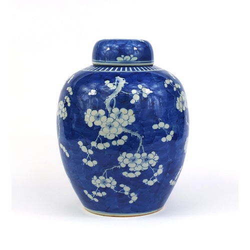 435 - Very large Chinese blue and white porcelain ginger jar and cover, hand painted with Prunus flowers, ... 