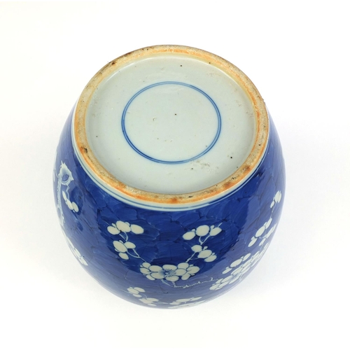 435 - Very large Chinese blue and white porcelain ginger jar and cover, hand painted with Prunus flowers, ... 