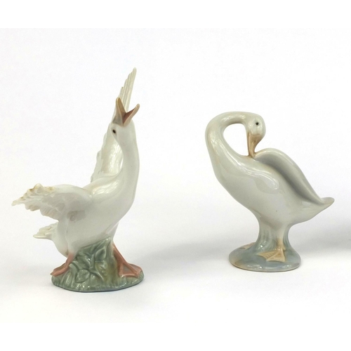 2077 - Three Lladro ducks together with a Nao figure of a girl holding a candle, the largest 21cm high