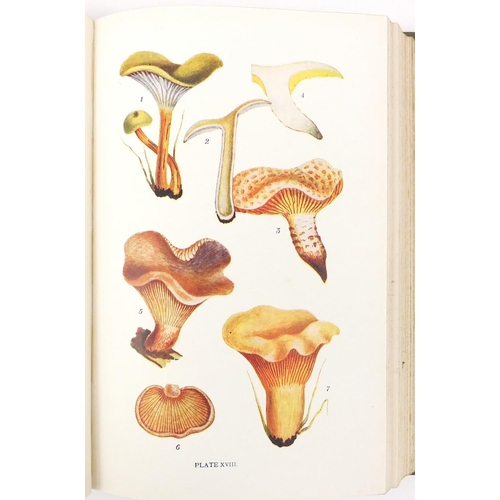 166 - First edition 1891 British Edible Fungi and First edition George Massee British Fungi