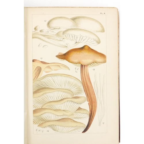 166 - First edition 1891 British Edible Fungi and First edition George Massee British Fungi