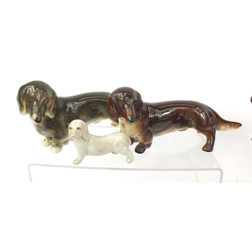 263 - Collection of china, resin and glass Dachshunds, the largest 25cm long