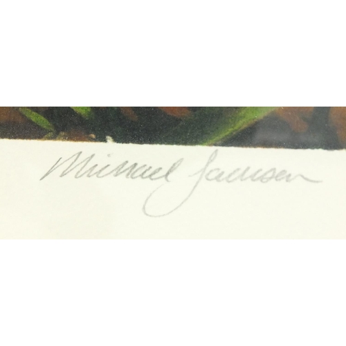 41 - Michael Jackson pencil signed limited edition print of tigers, Grace and Danger numbered 2/250, with... 