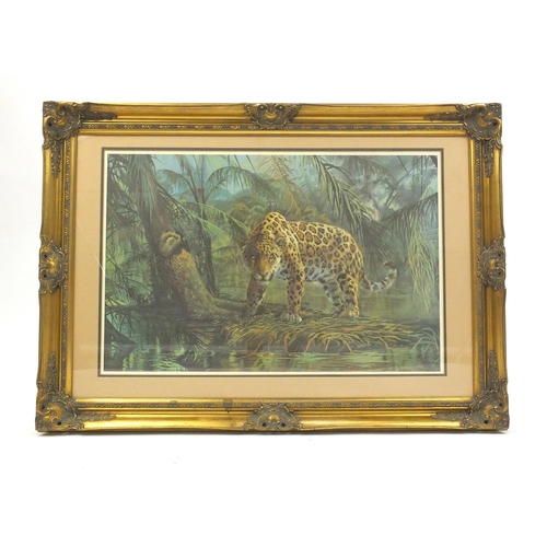 274 - Two large Spencer Roberts prints of a Leopard and a Cheater, both with ornate gilt frames, 77cm x 51... 