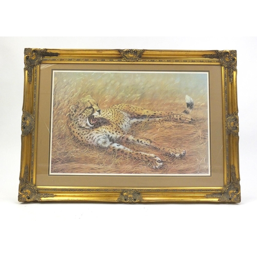 274 - Two large Spencer Roberts prints of a Leopard and a Cheater, both with ornate gilt frames, 77cm x 51... 