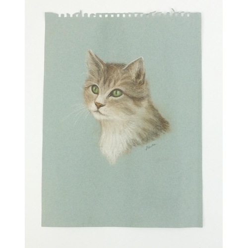 260 - Pastel onto paper of a cat, signed J Weston?