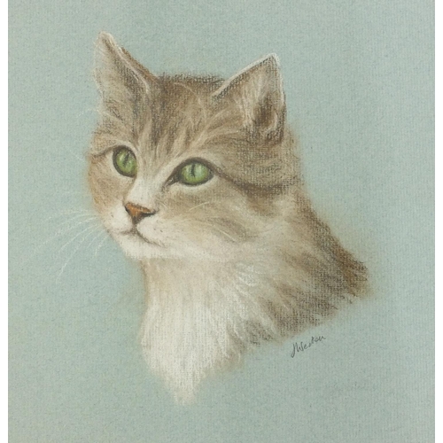 260 - Pastel onto paper of a cat, signed J Weston?