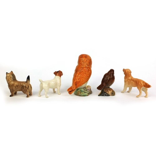 2083 - Five Beswick animals comprising Robin 980, an owl and three dogs, each with factory marks to the bas... 