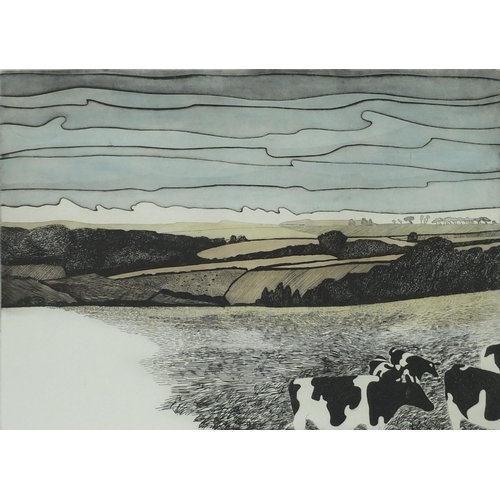 1293 - June Berry - Artist proof coloured etching, down the meadow, framed, 75cm x 59cm excluding the frame