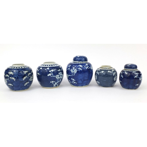 455 - Five Chinese blue and white porcelain ginger jars, two with covers, each hand painted with Prunus fl... 