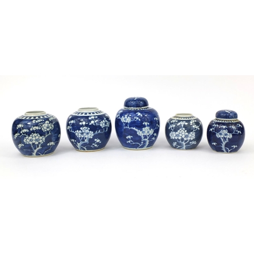 455 - Five Chinese blue and white porcelain ginger jars, two with covers, each hand painted with Prunus fl... 