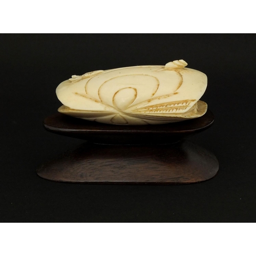 534 - Chinese ivory clam shell, the interior carved with a figure on horseback in a landscape, raised on a... 