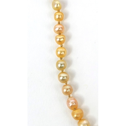 972 - Single string pearl necklace with unmarked gold diamond clasp, 36cm long, approximate weight 9.7g