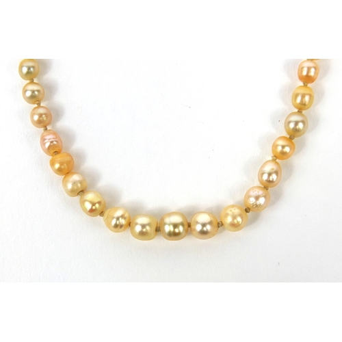 972 - Single string pearl necklace with unmarked gold diamond clasp, 36cm long, approximate weight 9.7g