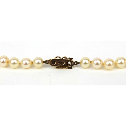 983 - Cultured pearl necklace and bracelet both with 9ct gold clasps, the necklace 44cm long, approximate ... 