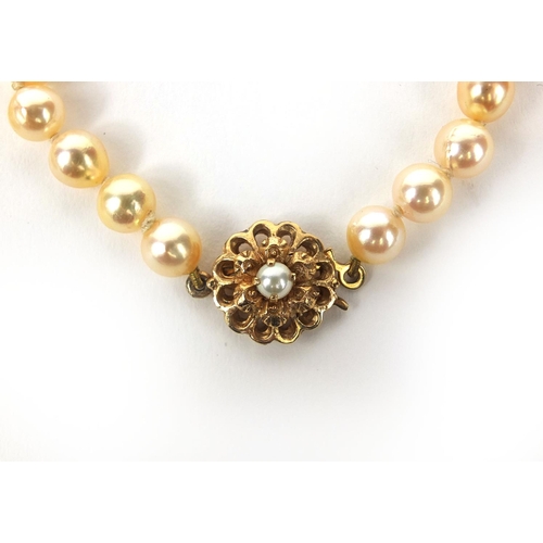 983 - Cultured pearl necklace and bracelet both with 9ct gold clasps, the necklace 44cm long, approximate ... 