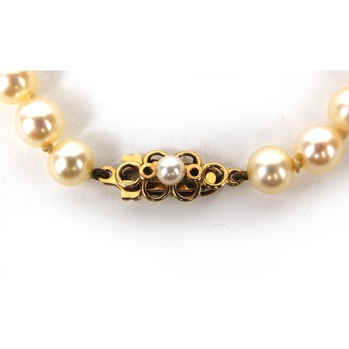 983 - Cultured pearl necklace and bracelet both with 9ct gold clasps, the necklace 44cm long, approximate ... 