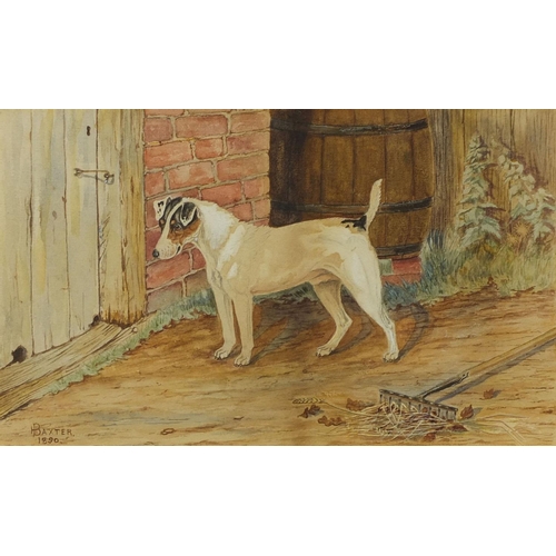 1270 - H Baxter 1890 - Victorian watercolour, standing terrier, mounted and gilt framed, 22cm x 14cm exclud... 