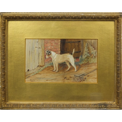 1270 - H Baxter 1890 - Victorian watercolour, standing terrier, mounted and gilt framed, 22cm x 14cm exclud... 