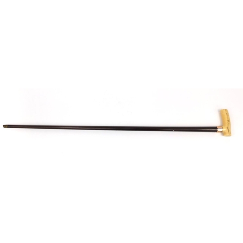 161 - Edwardian exotic wood walking cane with 9ct gold mount and ivory handle, London 1902, 91cm in length