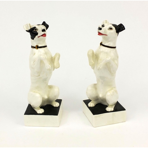 758 - Pair of Royal Doulton begging dogs, possibly advertising for Stauffer Son & Co, factory marks to the... 