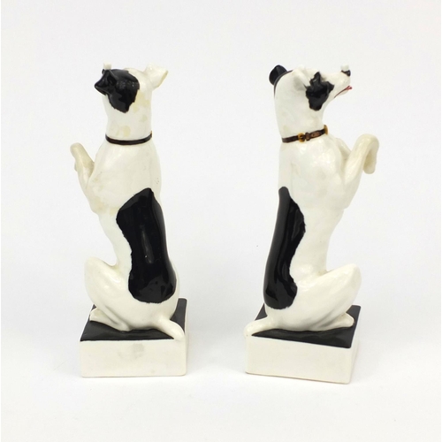 758 - Pair of Royal Doulton begging dogs, possibly advertising for Stauffer Son & Co, factory marks to the... 