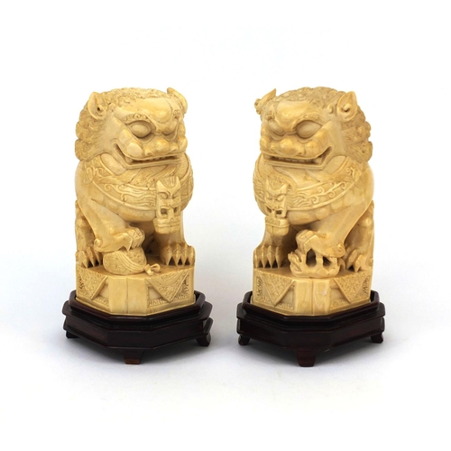 527 - Pair of well detailed Chinese carved ivory foo dogs, raised on hardwood bases, character marks to th... 