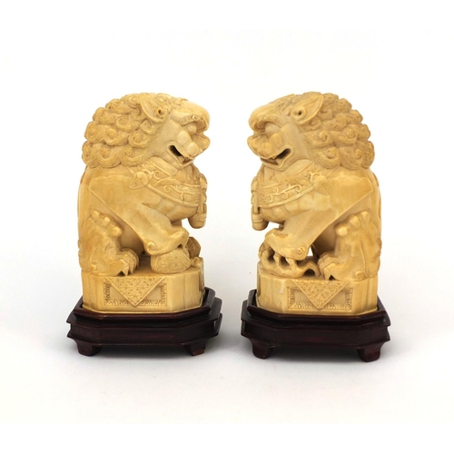 527 - Pair of well detailed Chinese carved ivory foo dogs, raised on hardwood bases, character marks to th... 