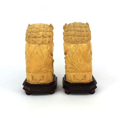 527 - Pair of well detailed Chinese carved ivory foo dogs, raised on hardwood bases, character marks to th... 