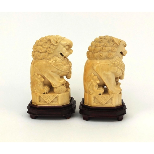 527 - Pair of well detailed Chinese carved ivory foo dogs, raised on hardwood bases, character marks to th... 