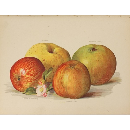 240 - The Fruit Growers Guide by John Wright, six volumes with coloured illustrations, published by J S Vi... 