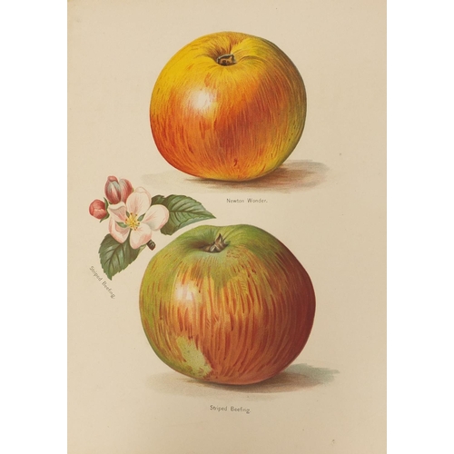 240 - The Fruit Growers Guide by John Wright, six volumes with coloured illustrations, published by J S Vi... 