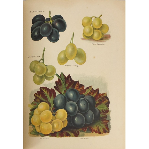 240 - The Fruit Growers Guide by John Wright, six volumes with coloured illustrations, published by J S Vi... 