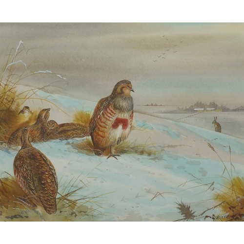 1274 - Watercolour onto card, Partridges resting, bearing a signature P Rickman, mounted and framed, 34cm x... 