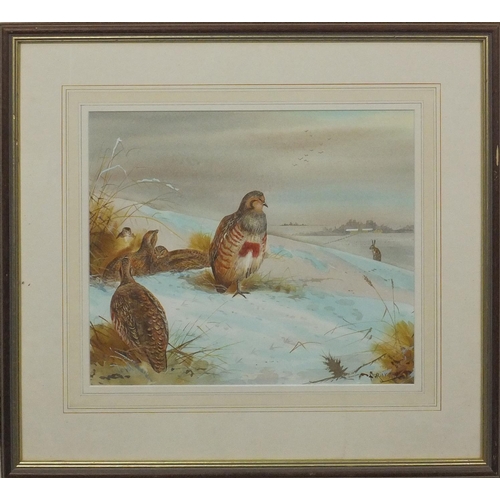 1274 - Watercolour onto card, Partridges resting, bearing a signature P Rickman, mounted and framed, 34cm x... 